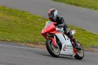 PJ-Motorsport-2019;anglesey-no-limits-trackday;anglesey-photographs;anglesey-trackday-photographs;enduro-digital-images;event-digital-images;eventdigitalimages;no-limits-trackdays;peter-wileman-photography;racing-digital-images;trac-mon;trackday-digital-images;trackday-photos;ty-croes
